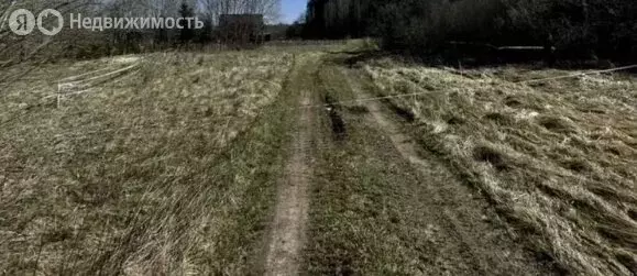 Участок в Волосовский район, Калитинское сельское поселение, деревня ... - Фото 1