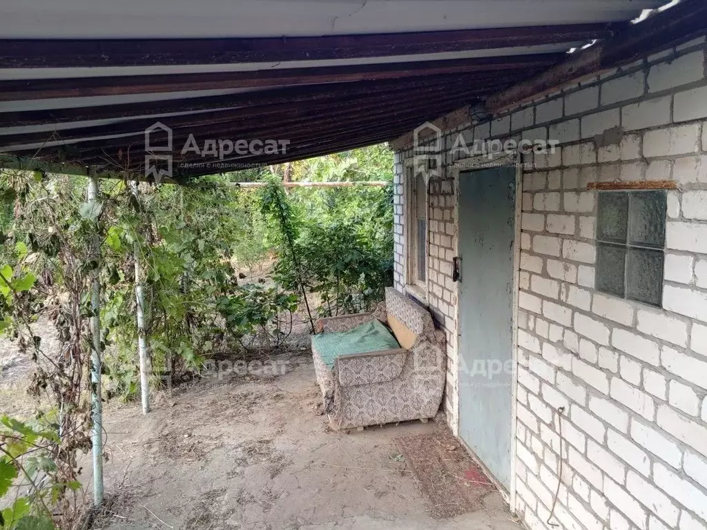 Дом в Волгоградская область, Волгоград Лесник СНТ,  (25 м) - Фото 1