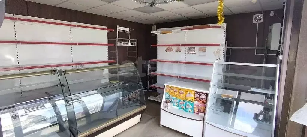 Торговая площадь в Сахалинская область, Южно-Сахалинск городской ... - Фото 1