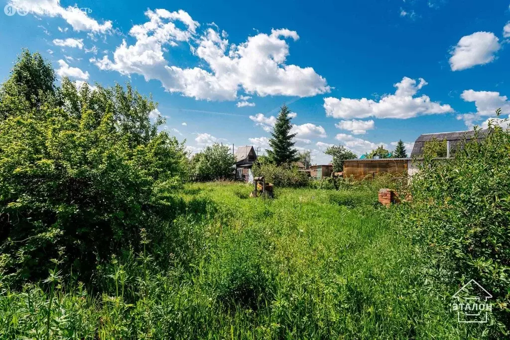 Участок в Омск, ТСН СНТ Ромашка, 13-я аллея, 8 (4.9 м) - Фото 1