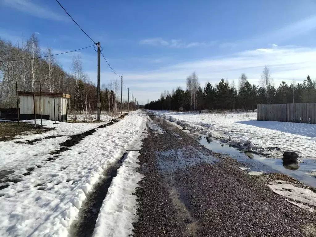 Участок в Курганская область, Шадринский муниципальный округ, с. Ключи ... - Фото 0