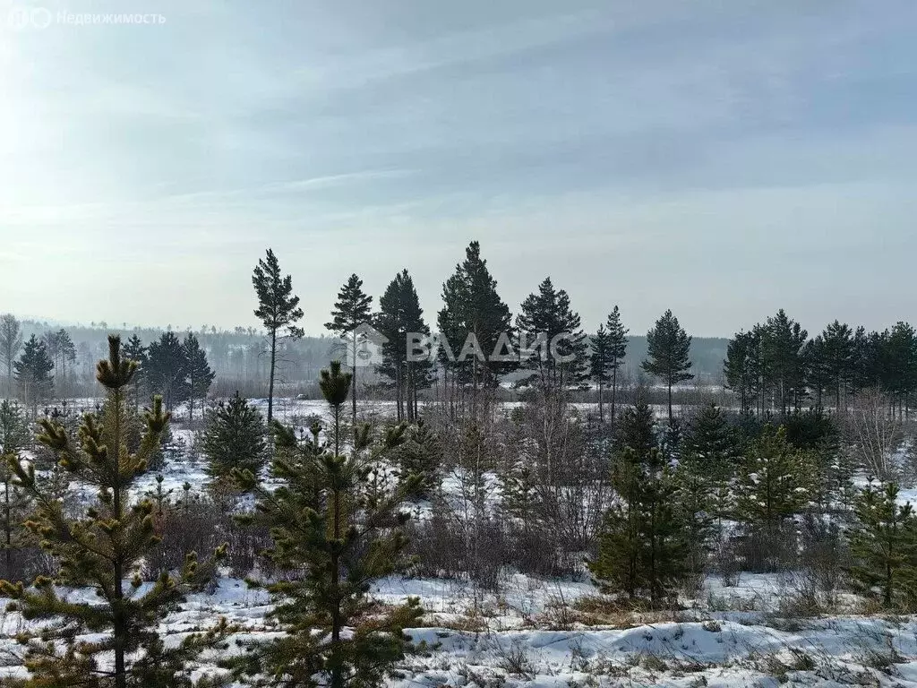 Участок в Читинский район, посёлок Забайкальский (90 м) - Фото 1