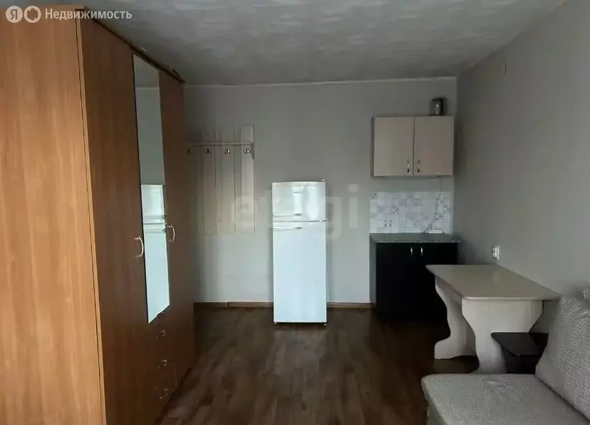 Квартира-студия: Пермь, Подлесная улица, 17 (17.3 м) - Фото 2