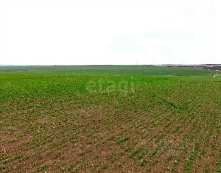 Участок в Оренбургская область, Оренбург  (237.56 сот.) - Фото 2