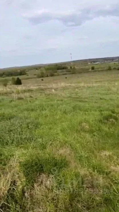Участок в Московская область, Можайский муниципальный округ, с. ... - Фото 0