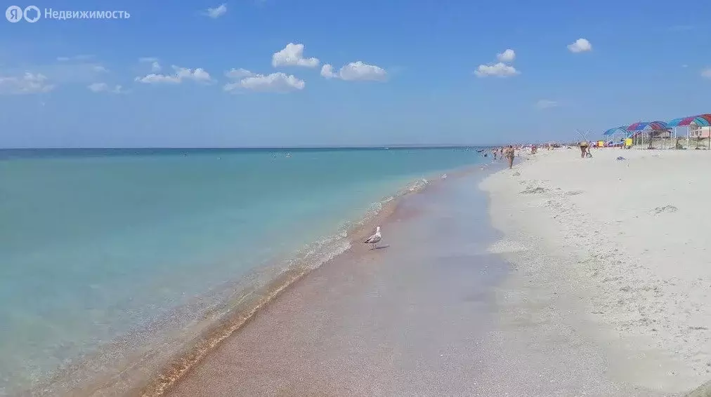 Дом в Витино, База отдыха Марьина Роща (60 м) - Фото 0