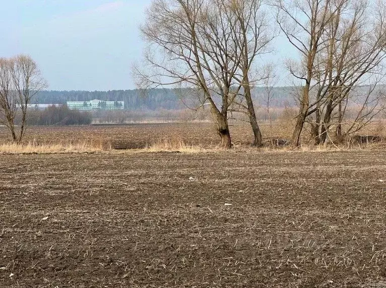 Участок в Московская область, Кашира городской округ, пос. Большое ... - Фото 0