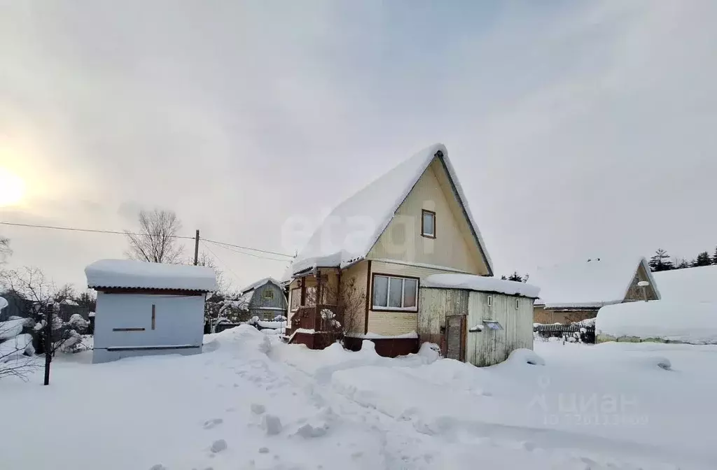 Дом в Архангельская область, Приморский муниципальный округ, Калинушка ... - Фото 1