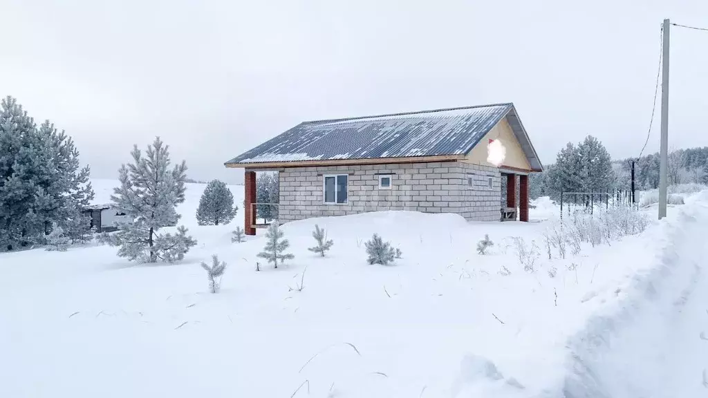 Дом в Удмуртия, Сарапульский район, д. Дулесово  (110 м) - Фото 0