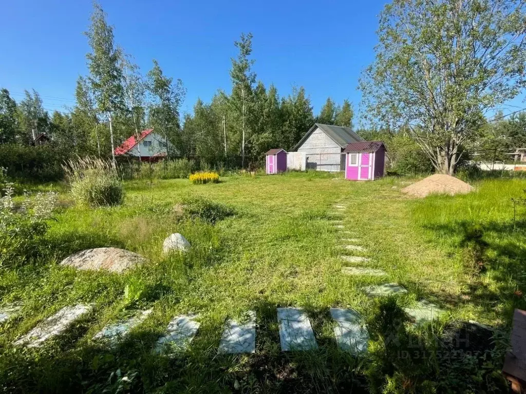 Участок в Ленинградская область, Всеволожский район, Рахьинское ... - Фото 1