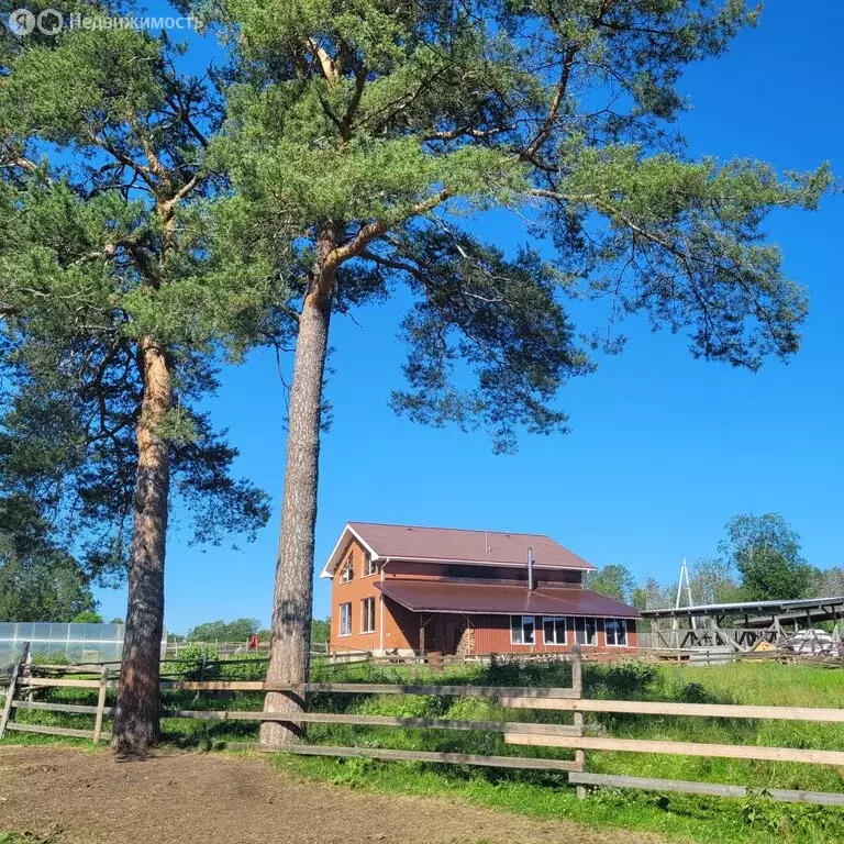 Дом в Тверская область, Вышневолоцкий муниципальный округ, деревня ... - Фото 2