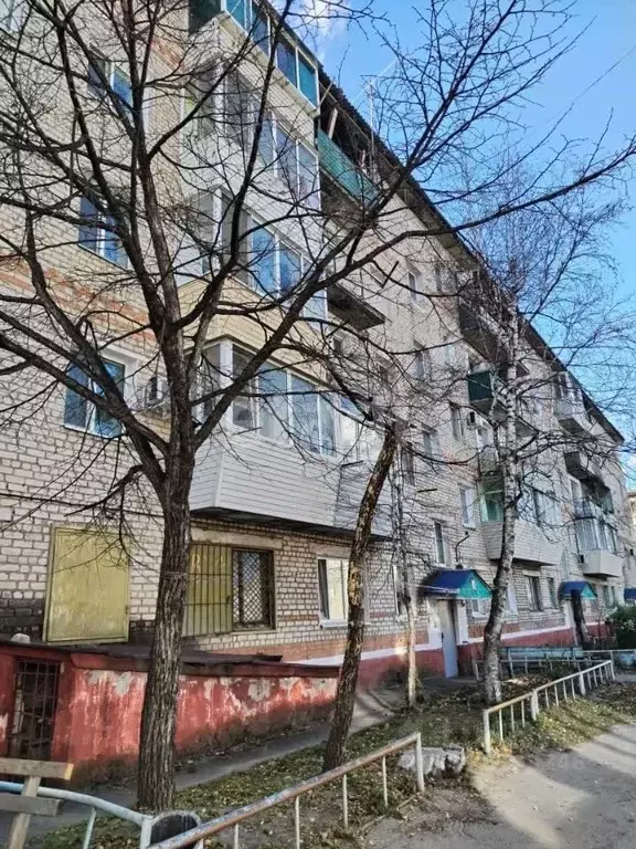 1-к кв. Амурская область, Райчихинск Музыкальная ул., 26 (30.2 м) - Фото 1