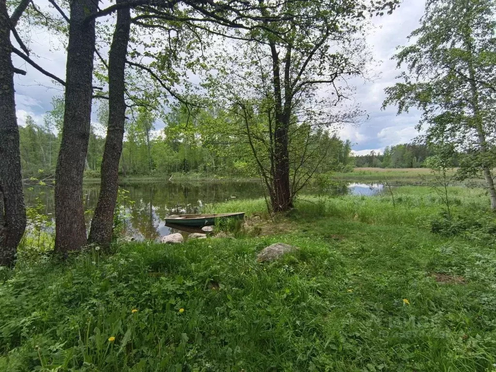 Участок в Ленинградская область, Приозерский район, Мельниковское ... - Фото 1