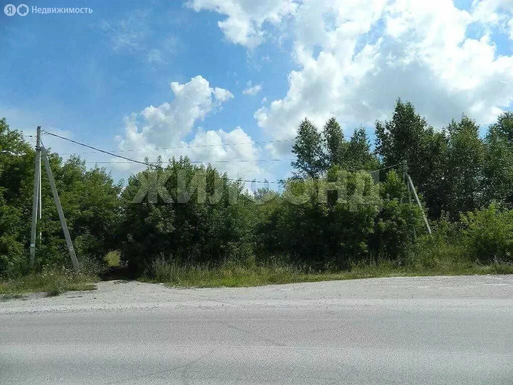 Участок в Искитим, улица Революции (12 м) - Фото 0