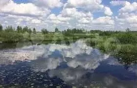 Участок 15 сот. (ИЖС) - Фото 0
