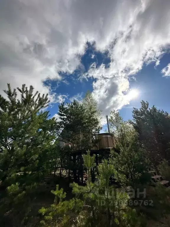 Дом в Калужская область, Козельский район, Бурнашево с/пос, д. Юдинки ... - Фото 2