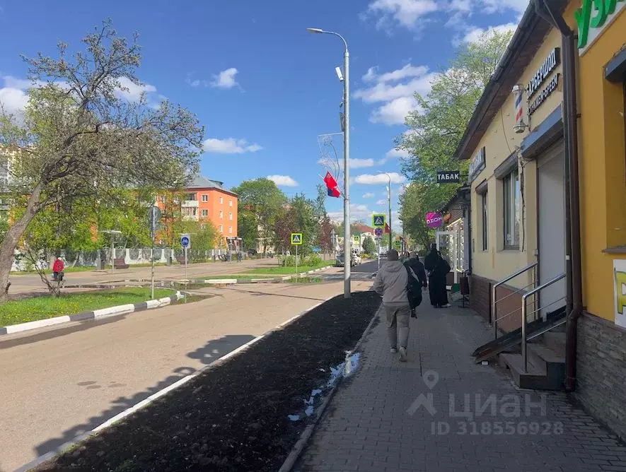 Торговая площадь в Московская область, Щелково Парковая ул., 7 (238 м) - Фото 1