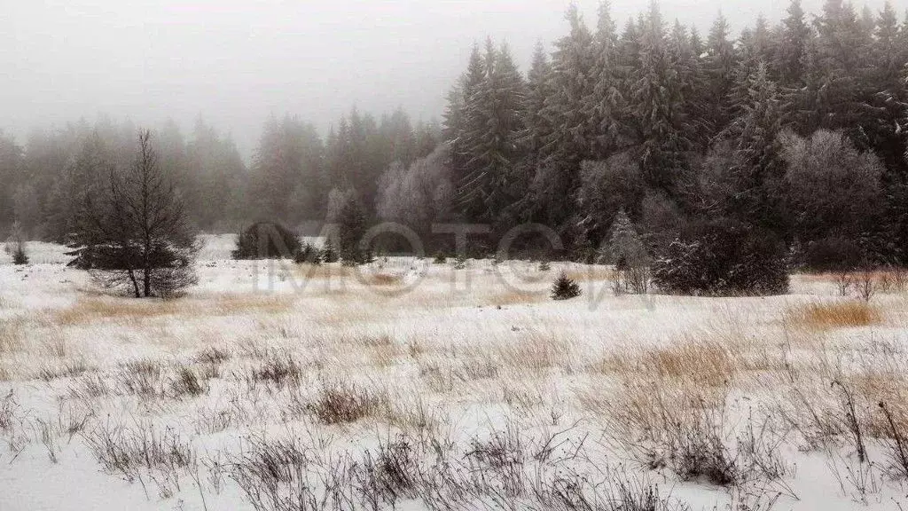 Участок в Красноярский край, Емельяновский район, Солонцовский ... - Фото 0