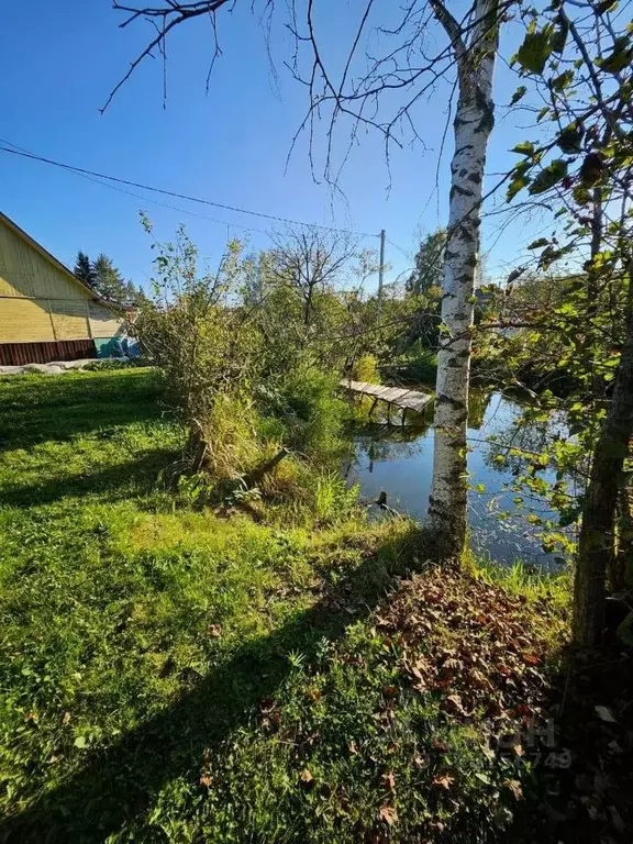 Дом в Ярославская область, Рыбинск Электротехник СНТ, 124 (40 м) - Фото 2