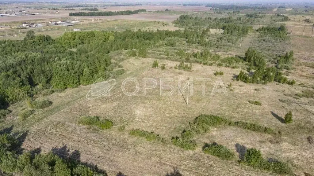 Участок в Тюменская область, Тюменский район, с. Борки  (15.0 сот.) - Фото 1
