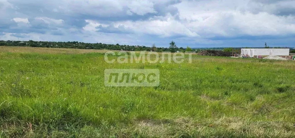 Участок в Курская область, Курский район, Новопоселеновский сельсовет, ... - Фото 0