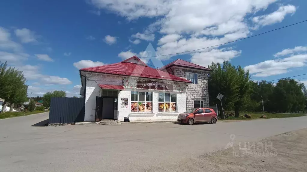 Торговая площадь в Челябинская область, Сосновский район, ... - Фото 0