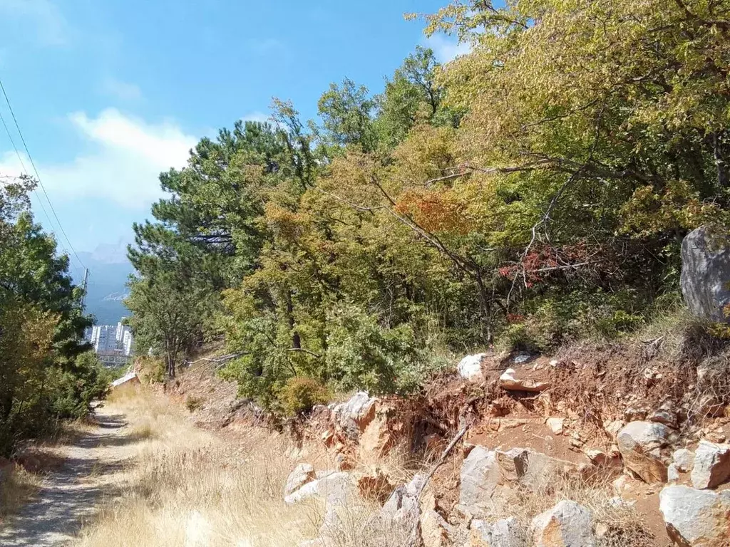 Участок в Крым, Ялта муниципальный округ, Гаспра пгт ш. ... - Фото 2