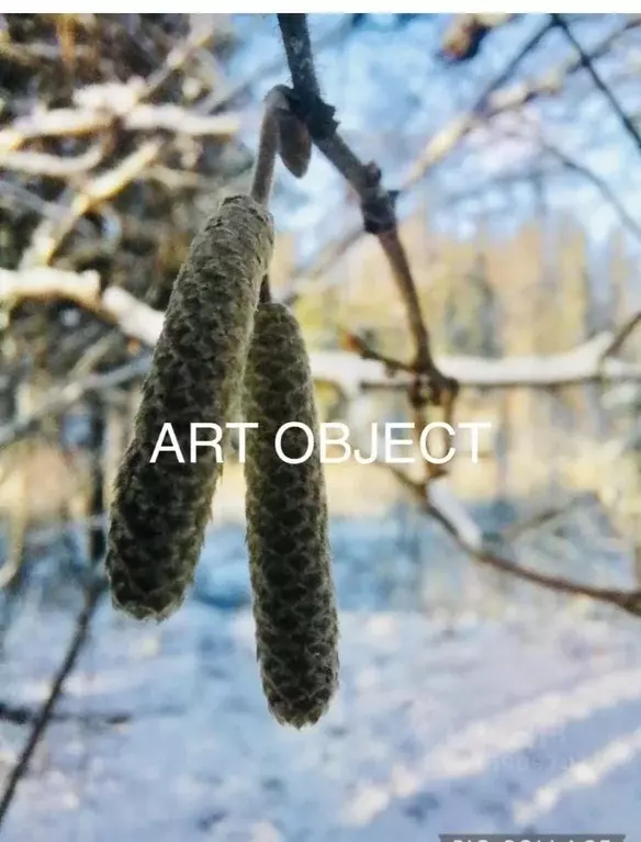 Коттедж в Московская область, Солнечногорск городской округ, пос. ... - Фото 1