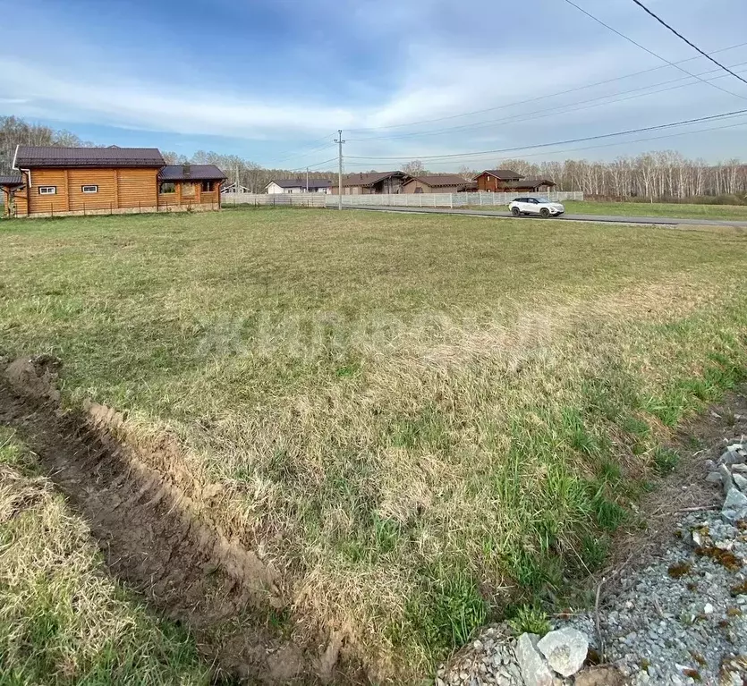 Участок в Новосибирская область, Новосибирский район, Плотниковский ... - Фото 2