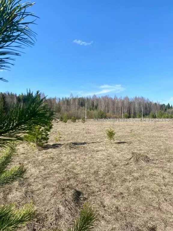 Участок в Кировская область, Слободской район, Бобинское с/пос, д. ... - Фото 2