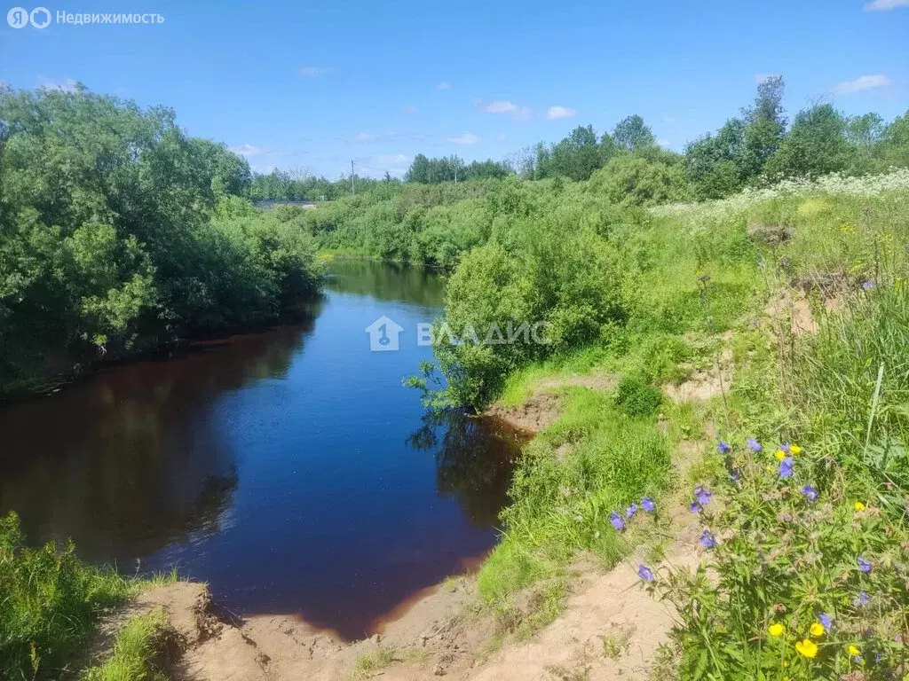 Участок в Вологодский муниципальный округ, СТ Ручеёк-91 (11 м) - Фото 1