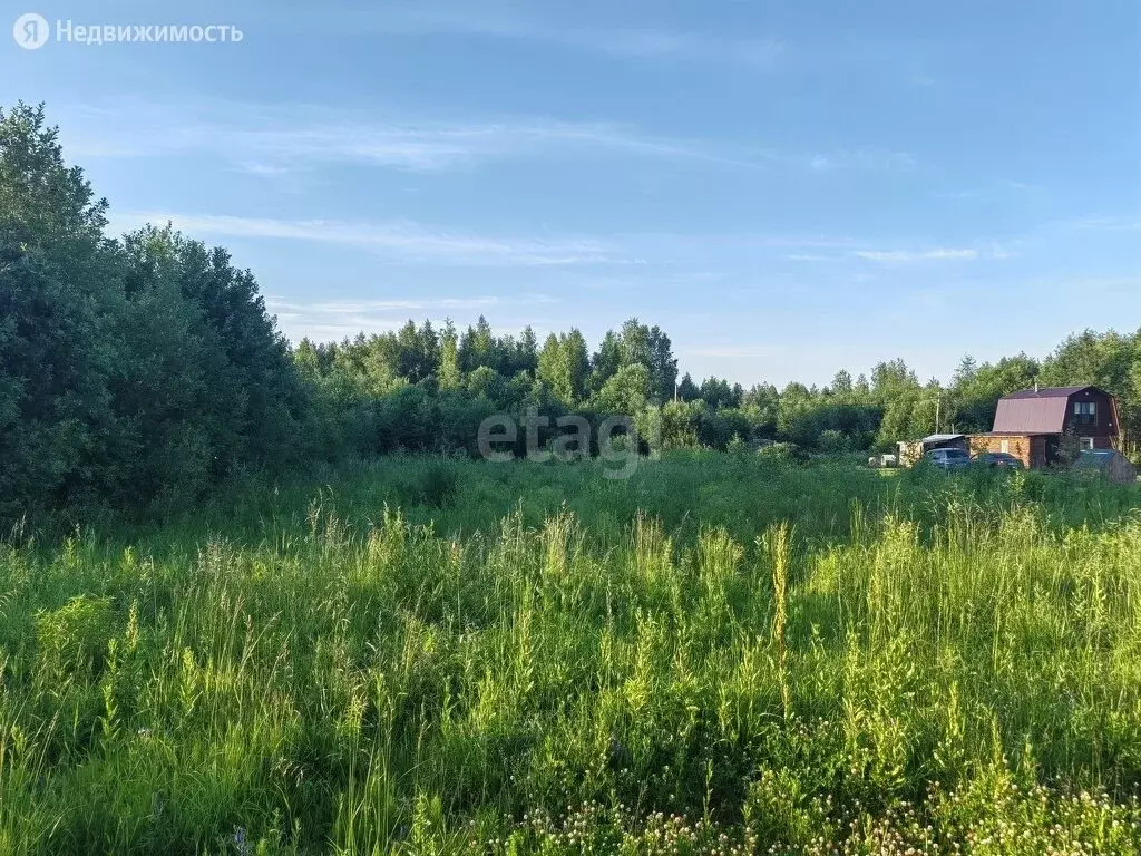 Купить Земельный Участок Череповецком Районе Вологодской Области