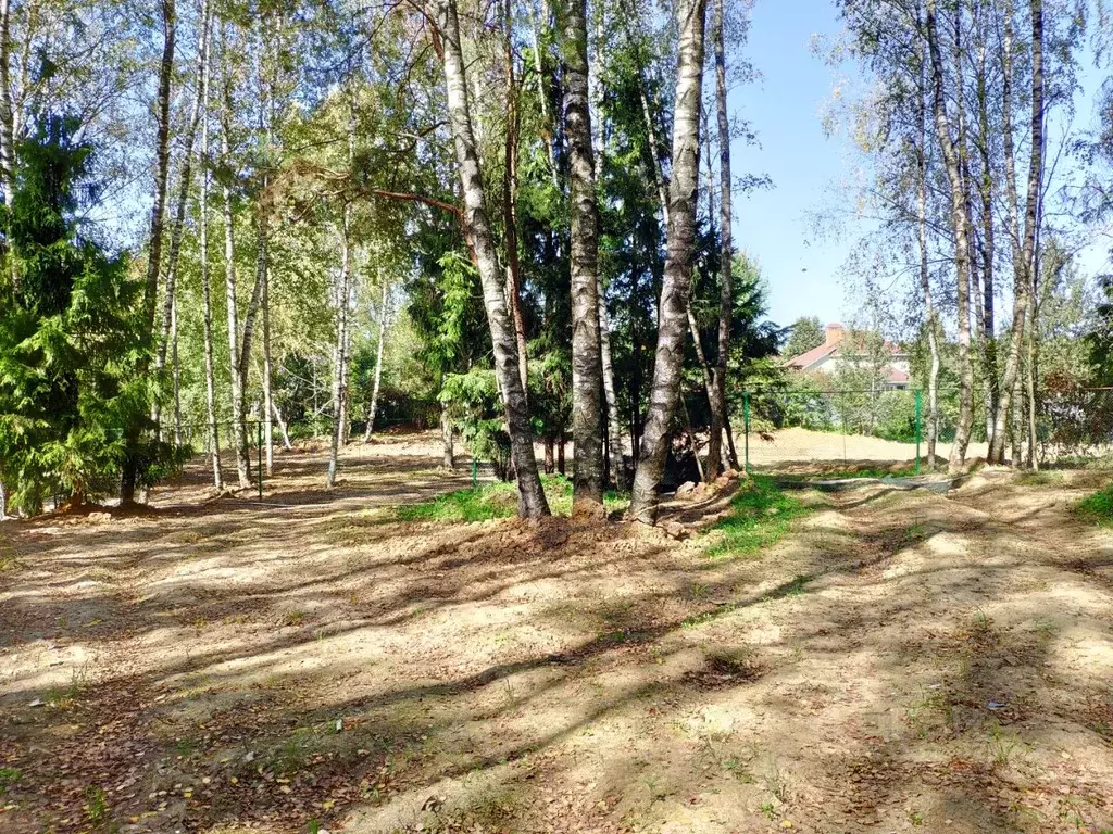 Участок в Московская область, Одинцовский городской округ, д. Осоргино ... - Фото 1