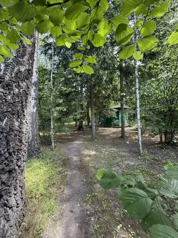 Дача 70 м на участке 25 сот. - Фото 1