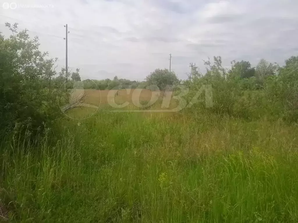 Участок в Тюменская область, село Исетское (13 м) - Фото 2