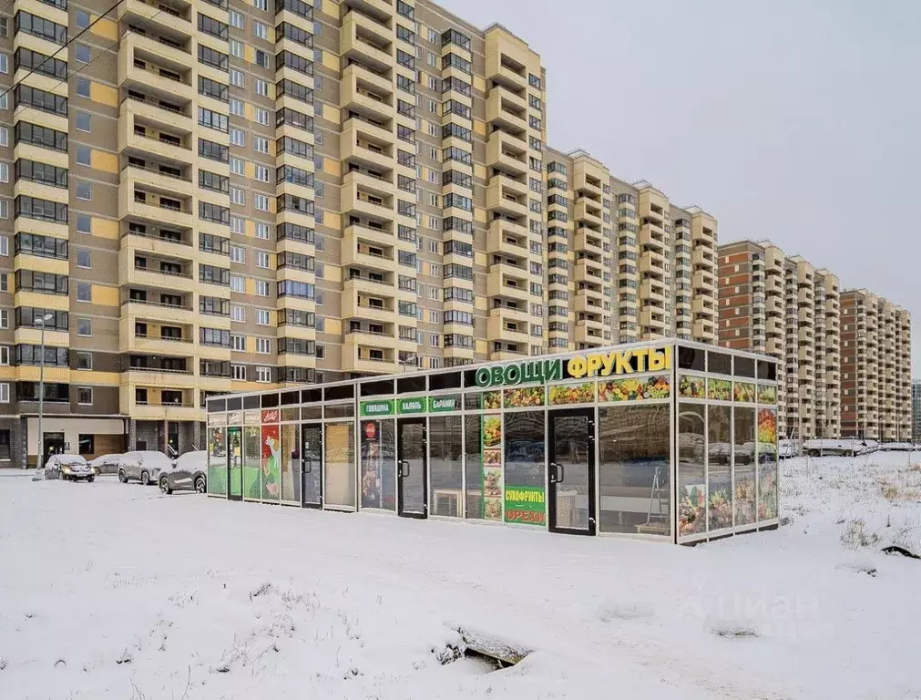 Торговая площадь в Ленинградская область, Мурино Всеволожский район, ... - Фото 1