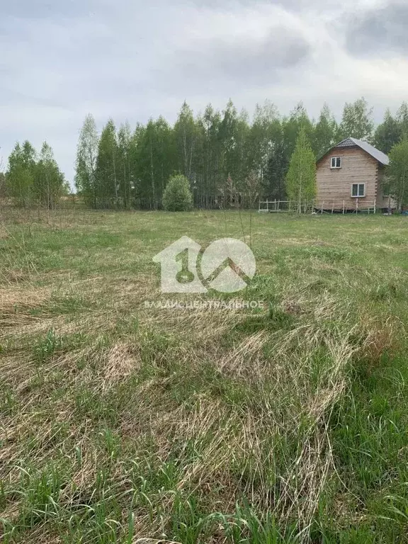 Участок в Новосибирская область, Искитимский район, Быстровский ... - Фото 1