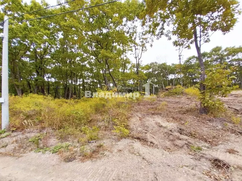 Участок в Приморский край, Находка Кедр кп, ул. Ольховая (10.0 сот.) - Фото 1