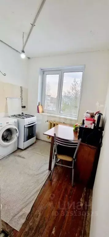 2-к кв. Ленинградская область, Кингисеппский район, Большелуцкое ... - Фото 2