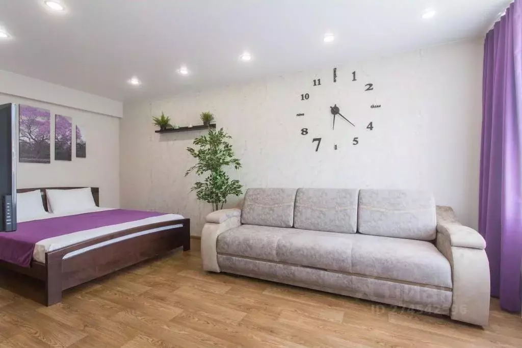 1-к кв. Новосибирская область, Новосибирск ул. Вокзальная магистраль, ... - Фото 2