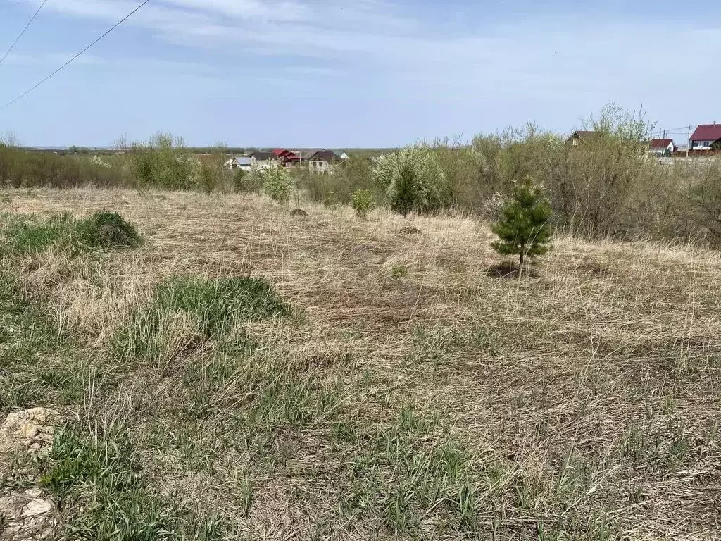 Участок в Алтайский край, Белокуриха ул. Грибная (8.9 сот.) - Фото 1