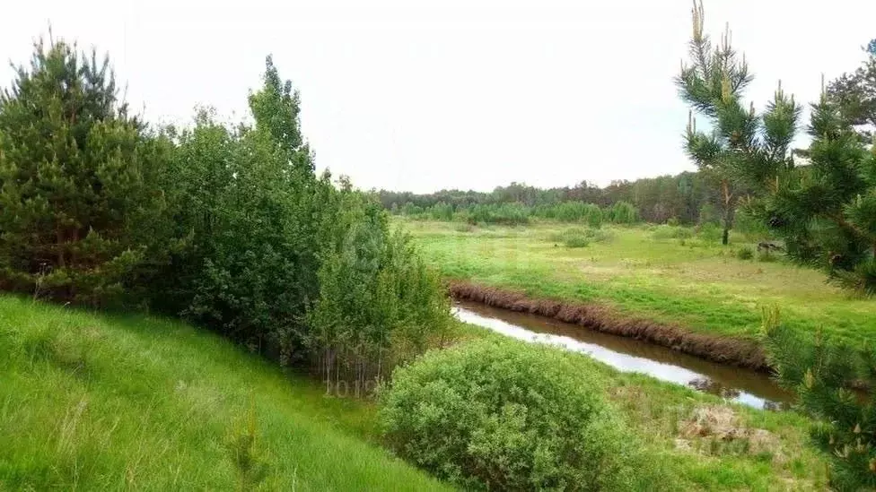 Участок в Свердловская область, Слободо-Туринский район, ... - Фото 1