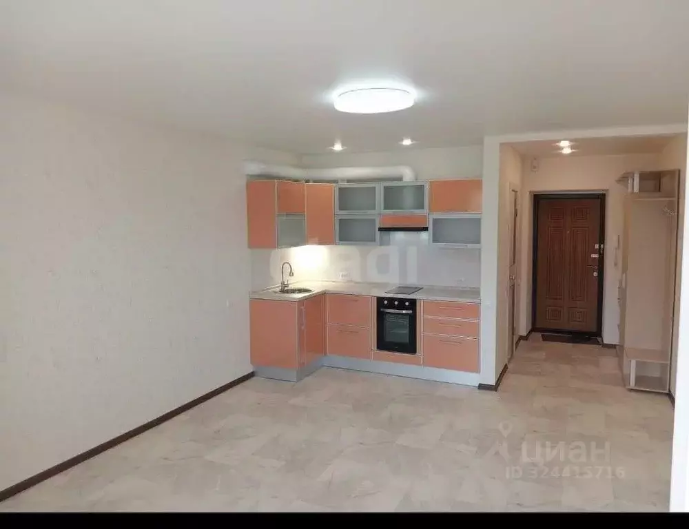 Студия Амурская область, Благовещенский район, с. Чигири ул. ... - Фото 1