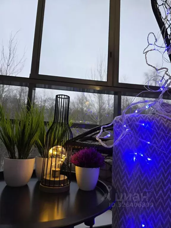 Студия Санкт-Петербург, Санкт-Петербург, Сестрорецк ул. ... - Фото 1