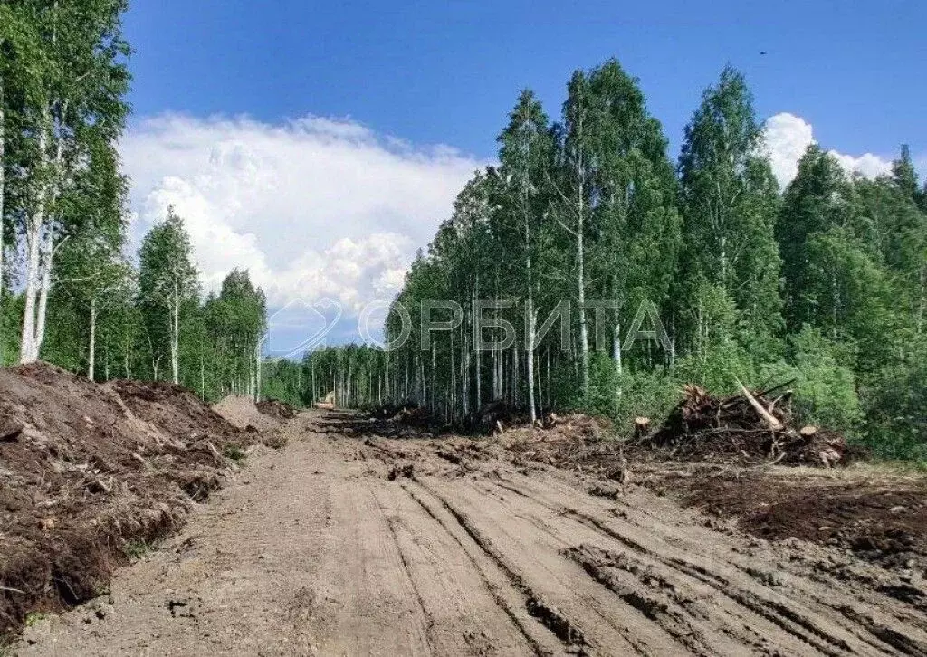 Участок в Тюменская область, Нижнетавдинский район, Строитель ТСН ул. ... - Фото 0