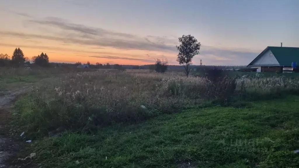 Участок в Московская область, Клин городской округ, д. Гологузово  ... - Фото 1