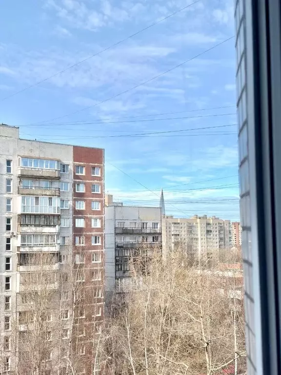 2-к кв. Санкт-Петербург ул. Кораблестроителей, 29К4 (55.0 м) - Фото 2