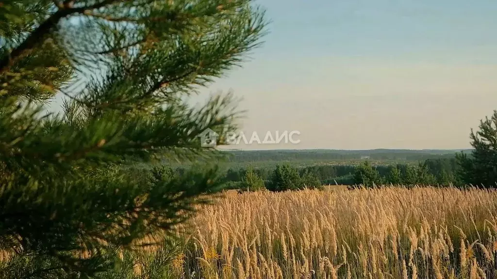 Участок в Удмуртия, Завьяловский район, д. Каменное ул. Медовая (8.0 ... - Фото 0