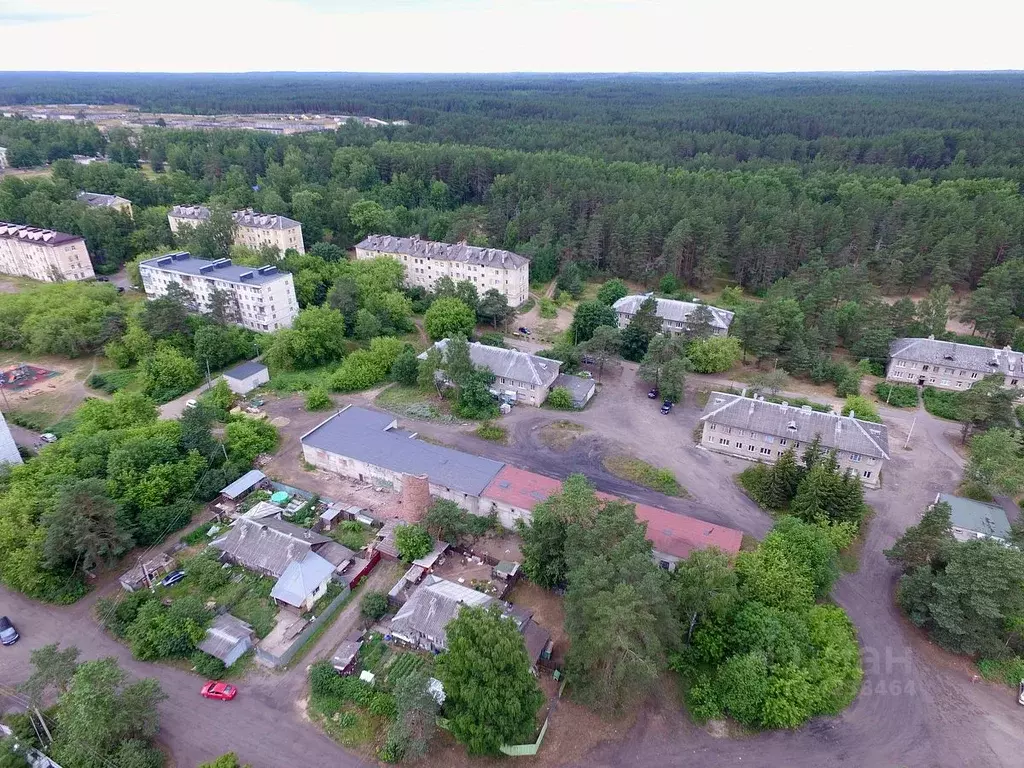 Помещение свободного назначения в Ленинградская область, Луга Городок ... - Фото 1