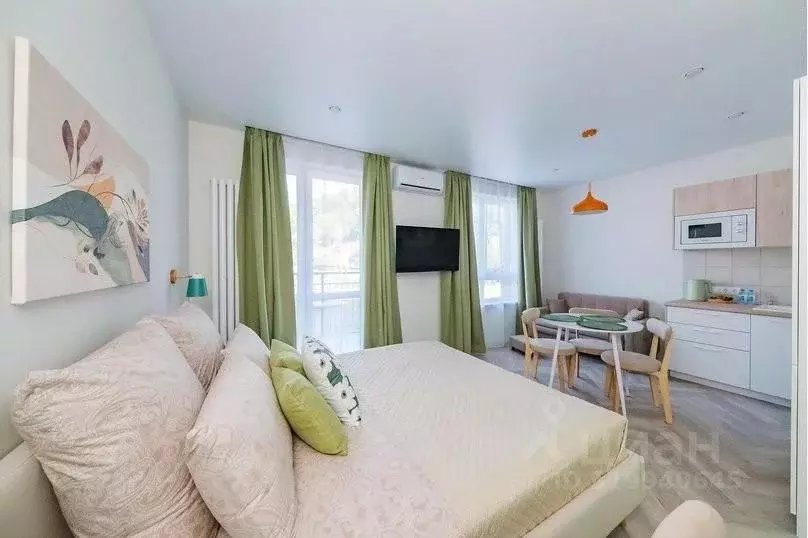 1-к кв. Краснодарский край, Сочи ул. Искры, 88к10 (28.0 м) - Фото 2